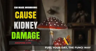 Magic Mushrooms and Kidney Health: Separating Fact from Fiction