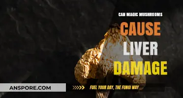 Magic Mushrooms and Liver Health: Separating Fact from Fiction