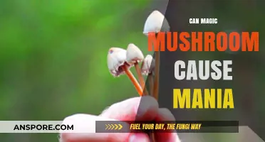 Magic Mushrooms and Mania: Unraveling the Psychedelic Connection