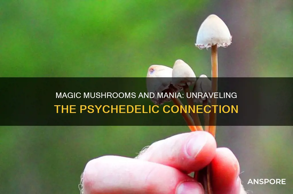 can magic mushrooms cause mania