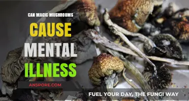 Magic Mushrooms and Mental Health: Unraveling the Risks and Realities