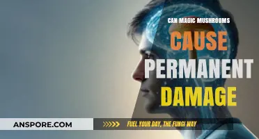 Magic Mushrooms: Potential Risks and Long-Term Effects on the Brain