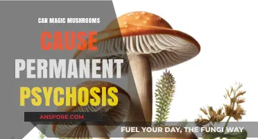 Magic Mushrooms and Mental Health: Risk of Permanent Psychosis?