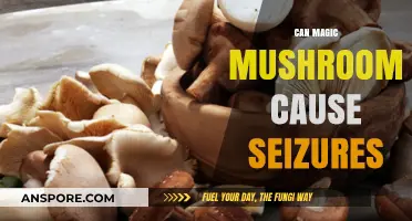 Magic Mushrooms and Seizures: Unraveling the Risks and Realities