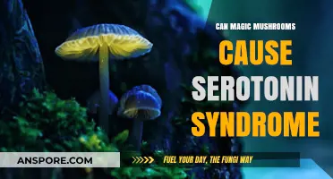 Magic Mushrooms and Serotonin Syndrome: Unraveling the Risks and Facts