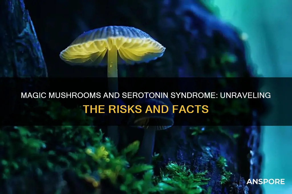 can magic mushrooms cause serotonin syndrome