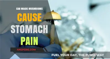 Magic Mushrooms and Stomach Pain: Unraveling the Uncomfortable Truth