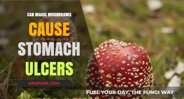 Magic Mushrooms and Stomach Ulcers: Unraveling the Potential Risks
