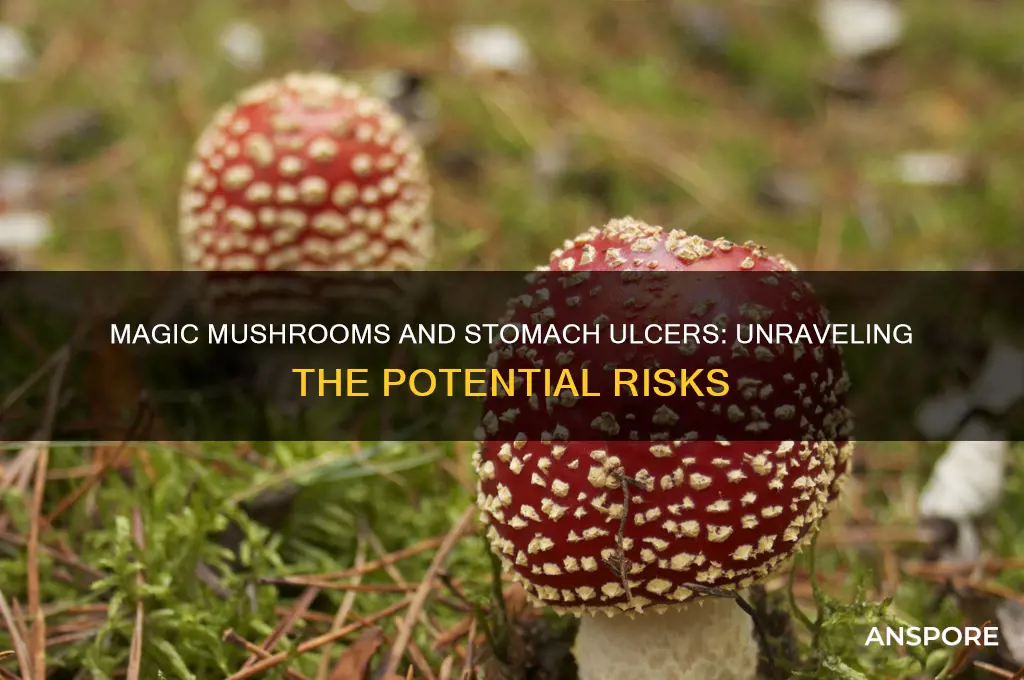can magic mushrooms cause stomach ulcers