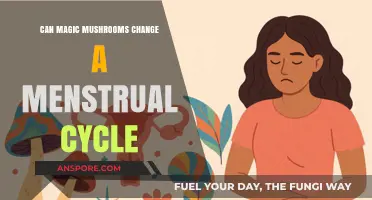 Magic Mushrooms and Menstruation: Exploring Potential Cycle Impacts