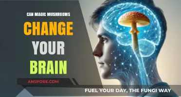 Magic Mushrooms' Impact: Rewiring the Brain and Transforming Perception