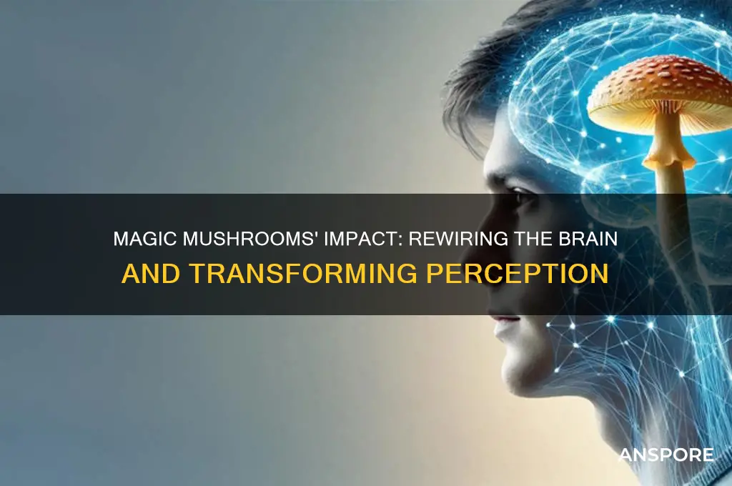 can magic mushrooms change your brain