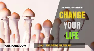 Magic Mushrooms: Unlocking Life-Changing Potential and Personal Transformation