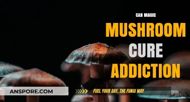 Magic Mushrooms: A Potential Breakthrough in Addiction Treatment?