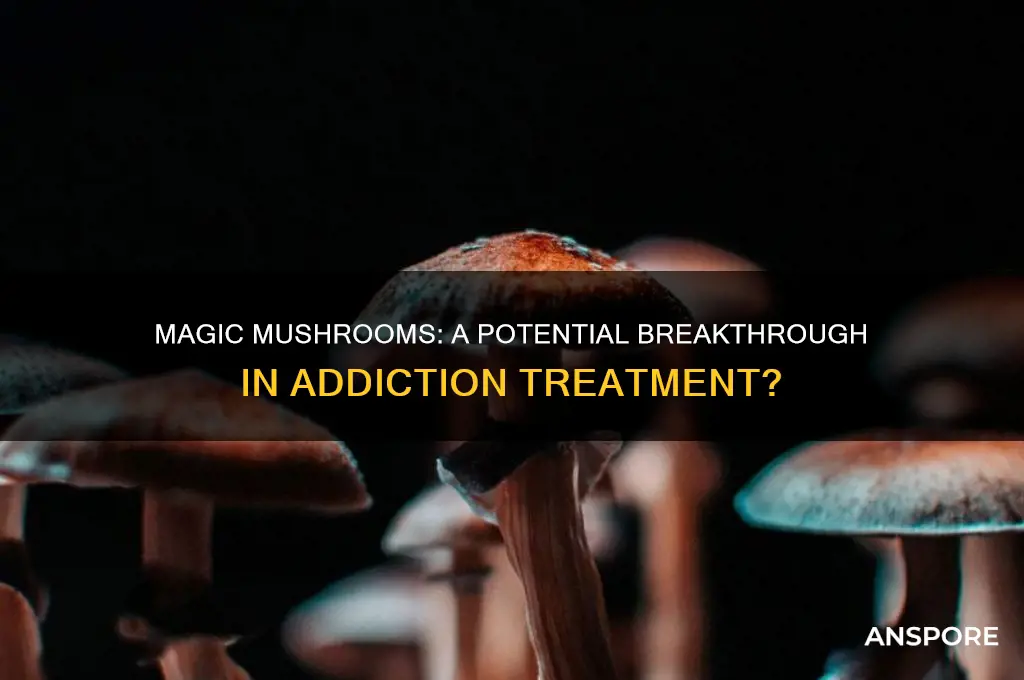 can magic mushrooms cure addiction