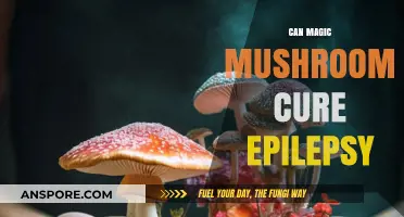 Magic Mushrooms: Potential Epilepsy Treatment or Psychedelic Myth?