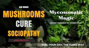 Magic Mushrooms and Sociopathy: Exploring Potential Therapeutic Breakthroughs