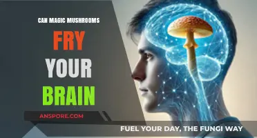 Magic Mushrooms and Brain Health: Separating Fact from Fiction