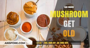 Do Magic Mushrooms Expire? Shelf Life and Potency Explained