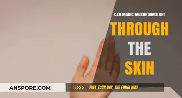 Can Magic Mushrooms Absorb Through Skin? Exploring Transdermal Psilocybin Potential