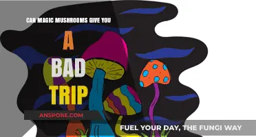 Can Magic Mushrooms Lead to a Terrifying Bad Trip?