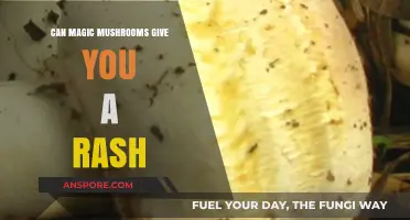Magic Mushrooms and Skin Reactions: Can Psilocybin Cause Rashes?