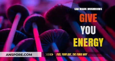 Magic Mushrooms and Energy: Unveiling the Potential Boost
