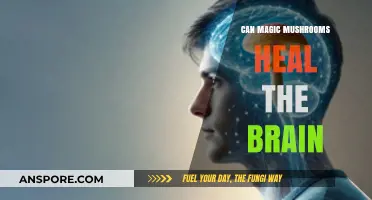 Magic Mushrooms: Unlocking Brain Healing Potential and Mental Health Benefits