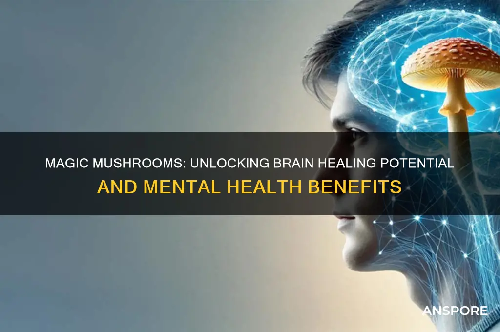 can magic mushrooms heal the brain