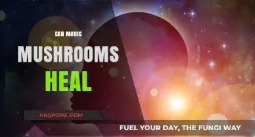 Can Magic Mushrooms Heal? Exploring Psilocybin's Therapeutic Potential