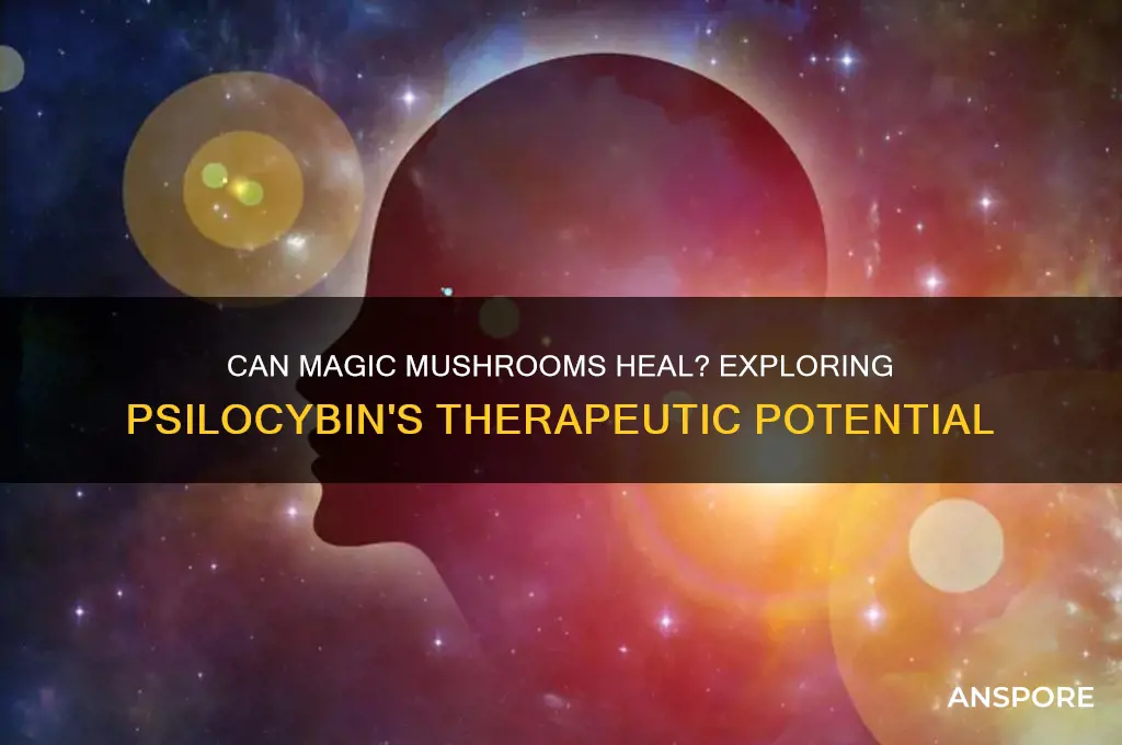 can magic mushrooms heal