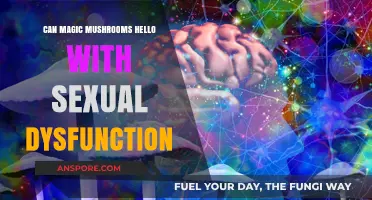 Magic Mushrooms and Sexual Dysfunction: Exploring Potential Therapeutic Benefits