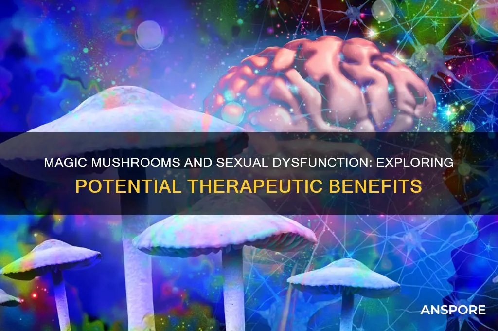 can magic mushrooms hello with sexual dysfunction