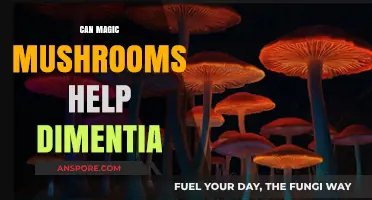 Exploring Magic Mushrooms' Potential in Dementia Treatment and Research