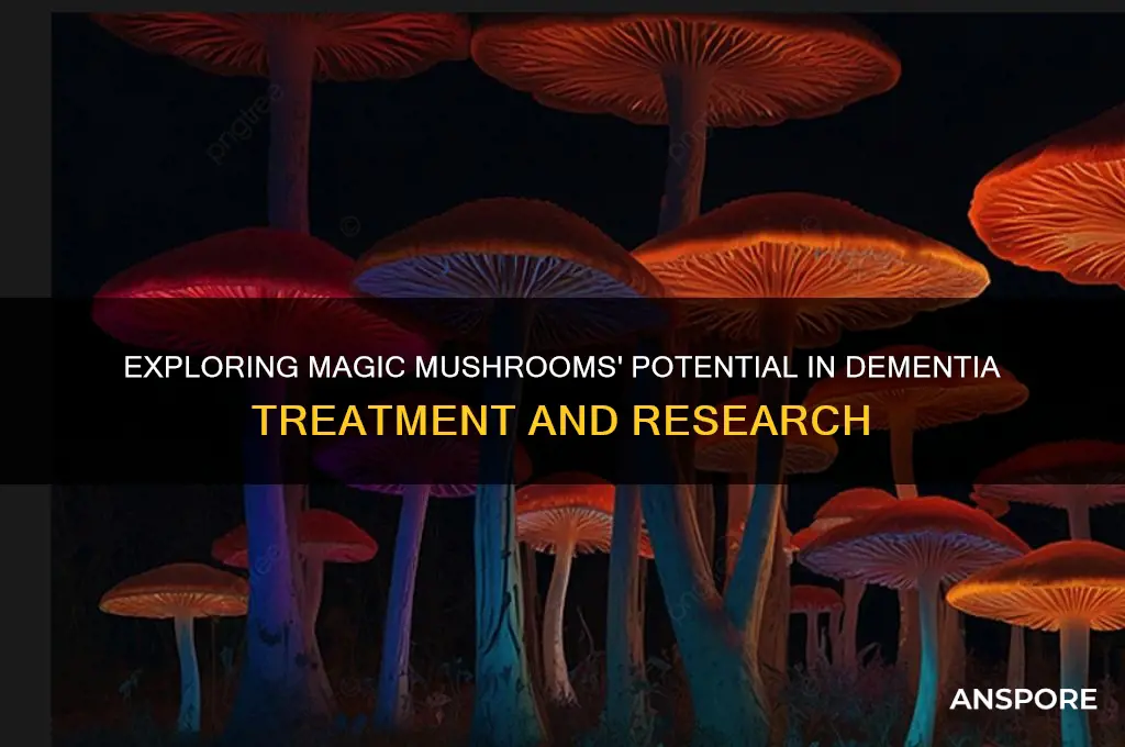 can magic mushrooms help dimentia
