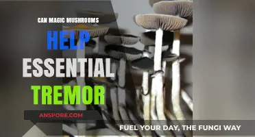 Magic Mushrooms: A Potential Treatment for Essential Tremor?