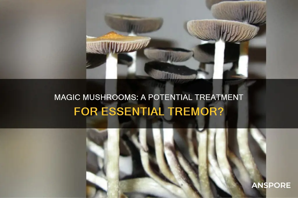 can magic mushrooms help essential tremor