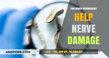 Magic Mushrooms and Nerve Damage: Exploring Potential Healing Properties