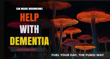 Exploring Magic Mushrooms' Potential Role in Dementia Treatment