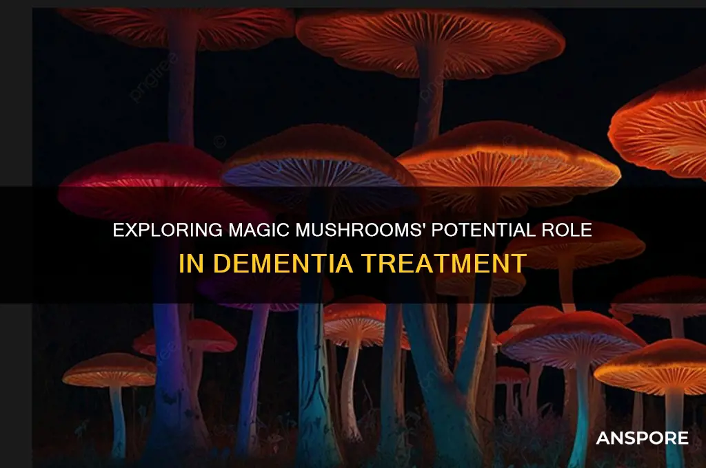 can magic mushrooms help with dementia