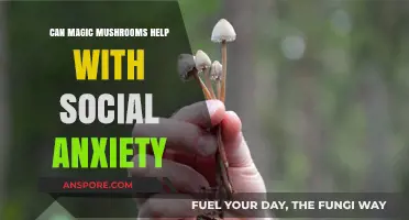 Magic Mushrooms: A Potential Remedy for Social Anxiety?