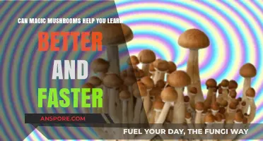 Magic Mushrooms: Unlocking Enhanced Learning Speed and Cognitive Potential?