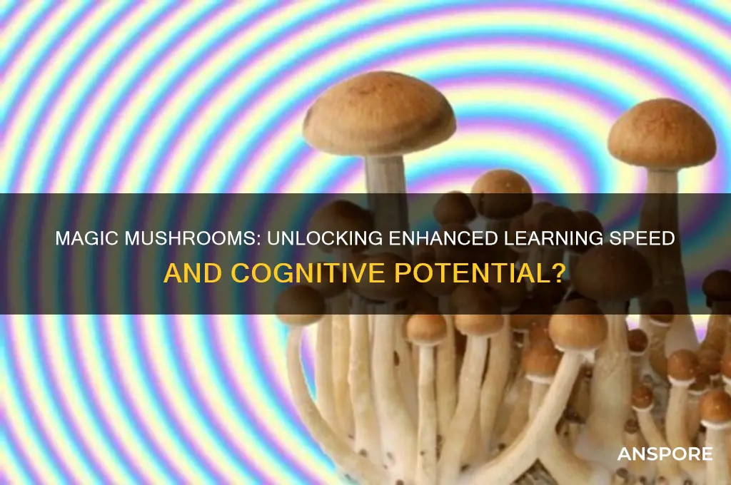 can magic mushrooms help you learn better and faster