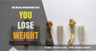 Magic Mushrooms and Weight Loss: Exploring the Psychedelic Connection