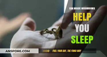 Magic Mushrooms and Sleep: Exploring Psilocybin's Potential for Better Rest