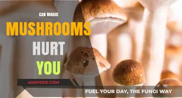Magic Mushrooms: Potential Risks and Harmful Effects Explained