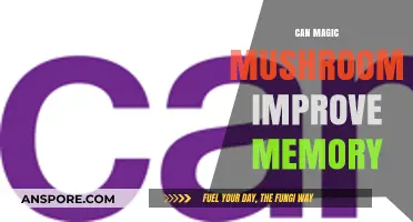 Magic Mushrooms and Memory: Unlocking Cognitive Potential with Psilocybin