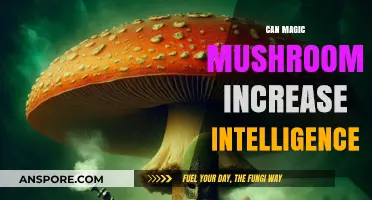 Magic Mushrooms and Intelligence: Unlocking Cognitive Potential or Myth?
