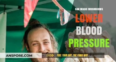 Magic Mushrooms and Blood Pressure: Exploring the Potential Benefits