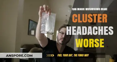 Magic Mushrooms and Cluster Headaches: Potential Risks Explored